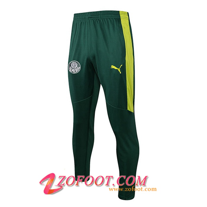 Training Pantalon Foot Palmeiras Vert 2021/2022