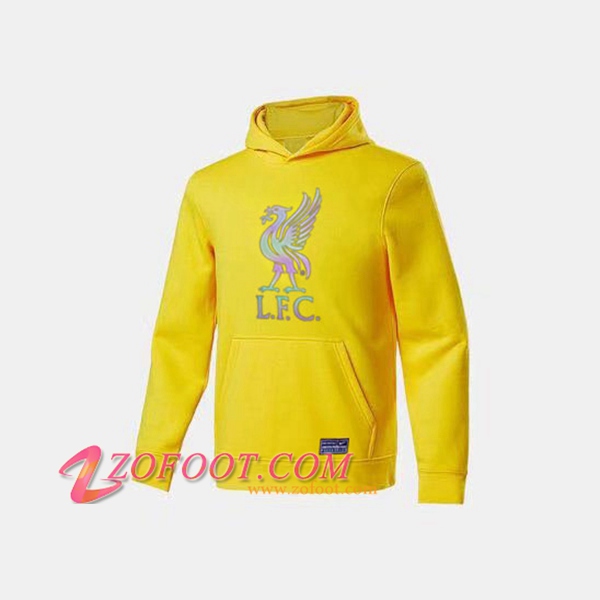 Sweatshirt Training Capuche FC Liverpool Jaune 2020/2021
