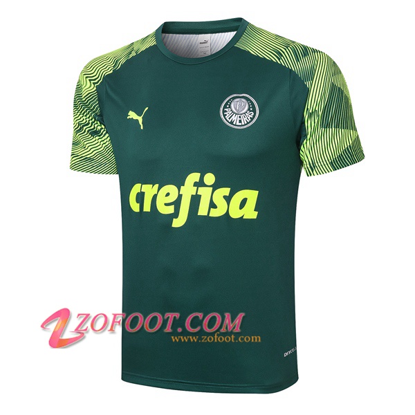 Training T-Shirts Palmeiras Vert 2020/2021