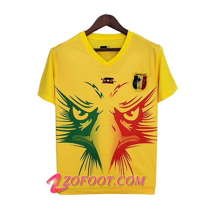 Maillot Equipe Foot Mali Special Edition 2022 -2