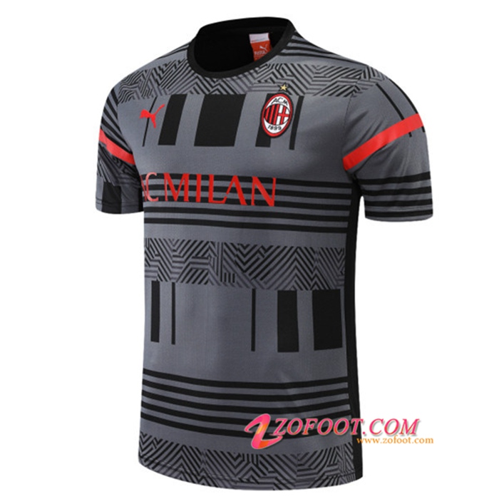 Training T-Shirts Milan AC Gris 2022/2023