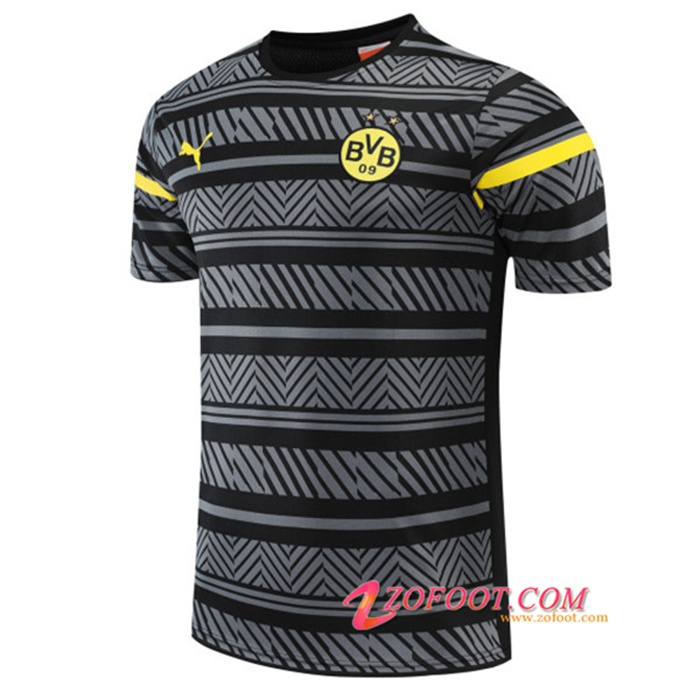 Training T-Shirts Dortmund BVB Gris 2022/2023
