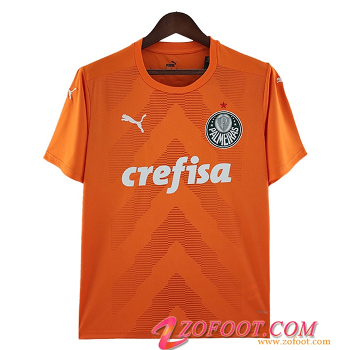 Maillot de Foot Palmeiras Gardien de But Orange 2022/2023